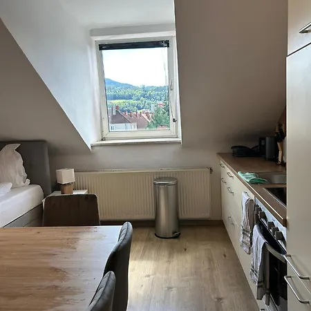 Universitaetsnahes In #9 Leoben (Styria)